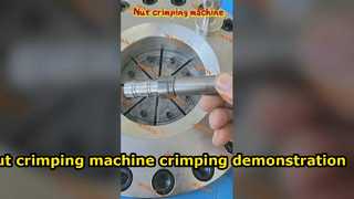 Nut crimping machine crimping demonstration
